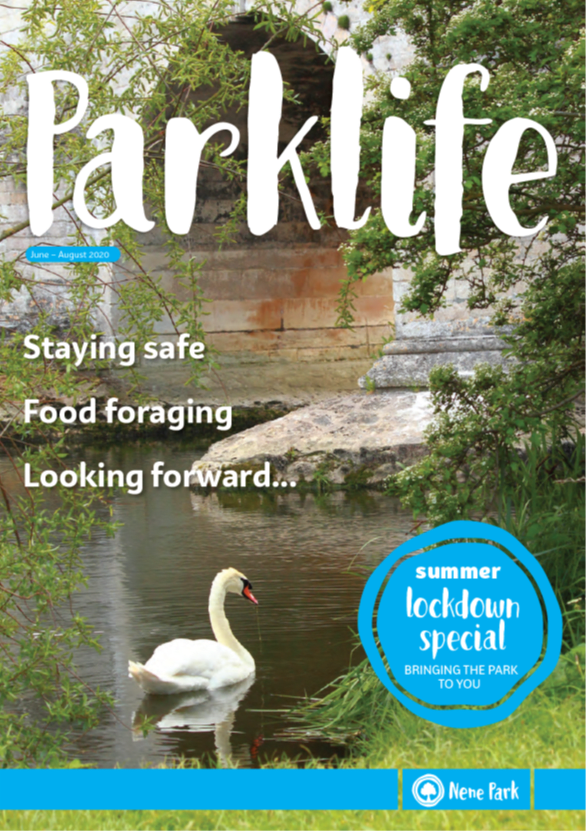 summer 2020 parklife magazine front cover
